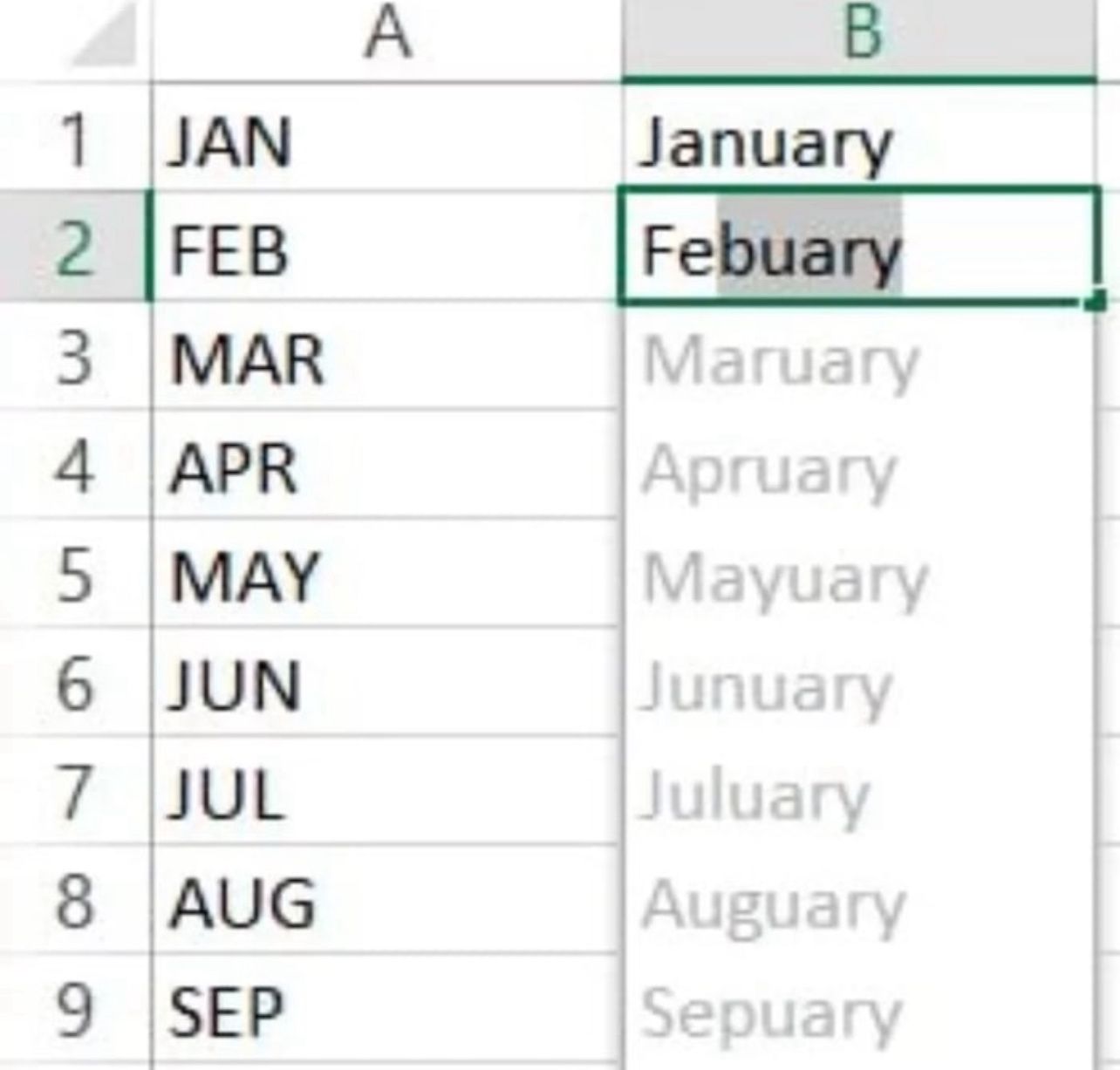 This meme is a screenshot of an Excel spreadsheet with a calendar. The user has filled in the months of the year, but for February, they've written "Febuary" instead of "February". The error is highlighted with a red box, and the correct spelling is shown in the adjacent cell.